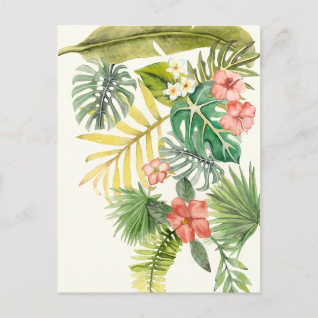 Carte Postale Tropiques souples (Devant)