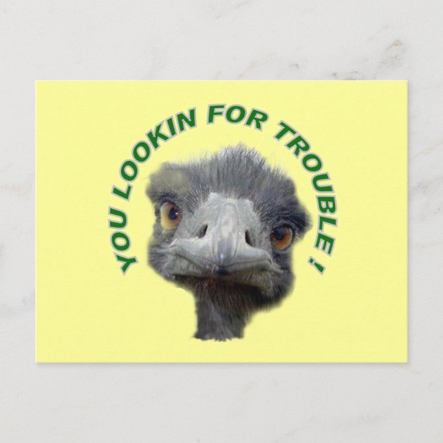 Carte Postale Trouble d'Ostrich (Devant)