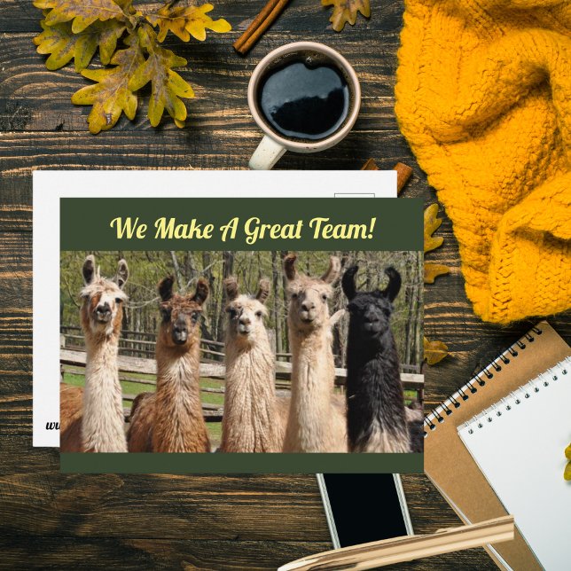 Carte Postale Troupe de Llamas Heureux Ensemble (Is your work team just the best? Tell them with a postcard~!)