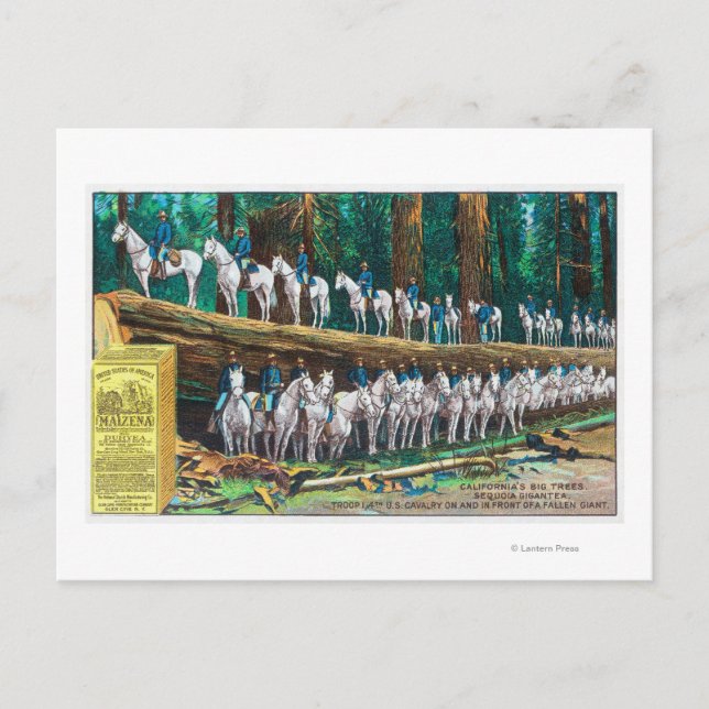 Carte Postale Troupe I sur et devant Fallen Giant (Devant)