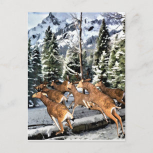 Carte Postale Troupeau de cerfs courant dans les montagnes Roche