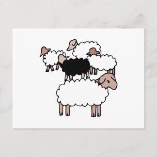 Carte Postale troupeau de moutons avec mouton noir