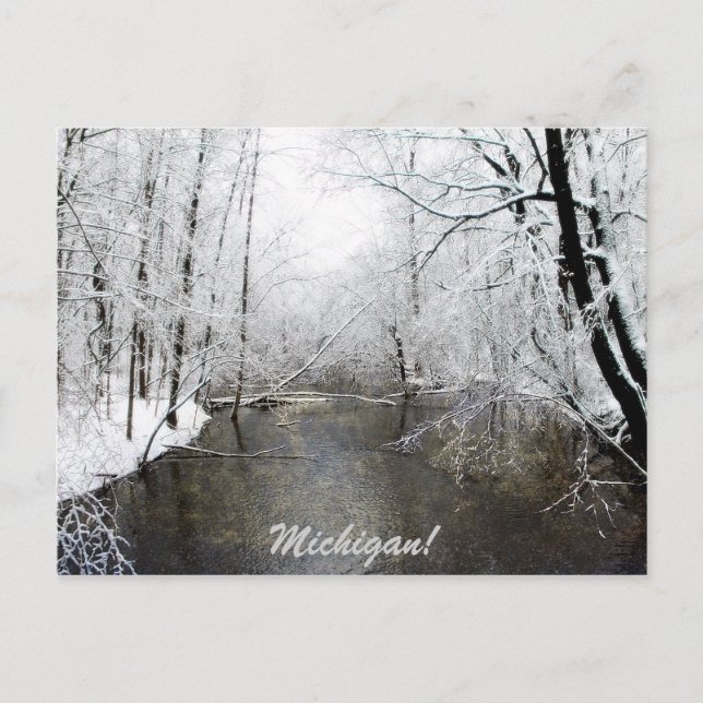 Carte Postale Trout (Devant)