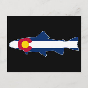 Carte Postale Trout Fish
