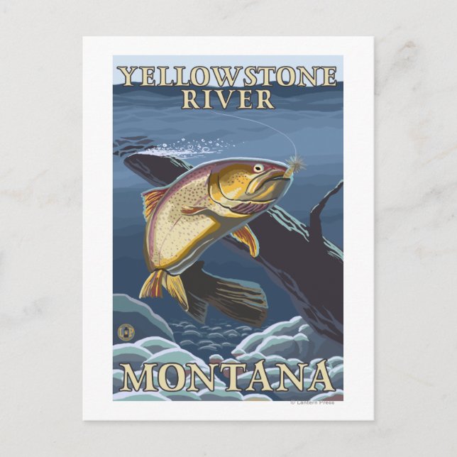 Carte Postale Trout Fishing Cross-Section 5 (Devant)