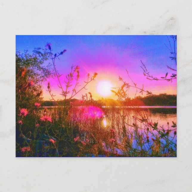 CARTE POSTALE TROUT LAKE SUN POSTCARD (Devant)