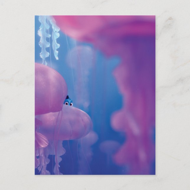 Carte Postale Trouver Dory | Cacher et rechercher - Méduses (Devant)