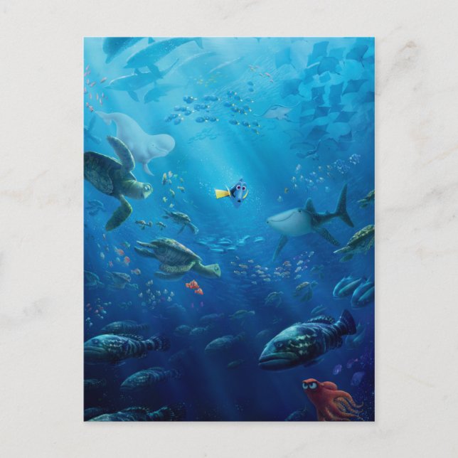 Carte Postale Trouver Dory | Poster (Devant)