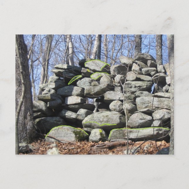 Carte Postale Trouvez La Pierre Cérémoniale Des Tortues (Devant)