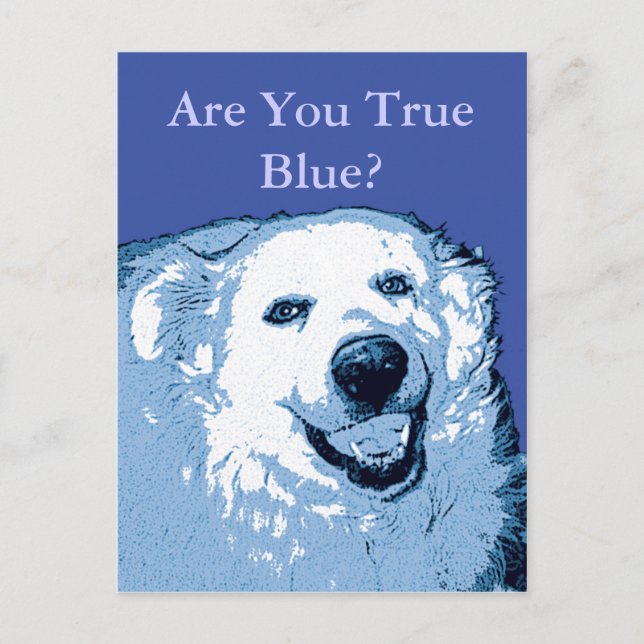 Carte postale True Blue Dog Democrat (Devant)