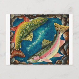 Carte Postale Truite broyée et truite arc-en-ciel