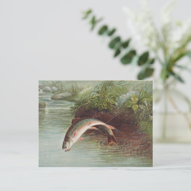 Carte Postale Truite de ruisseau Leaping par S.A. Kilbourne Pois (Debout devant)
