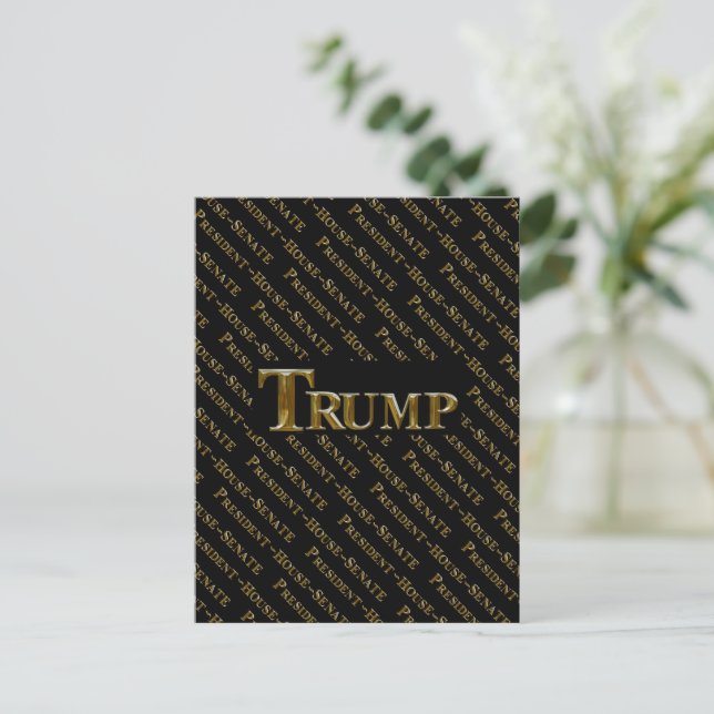 CARTE POSTALE TRUMP 2024 (Debout devant)