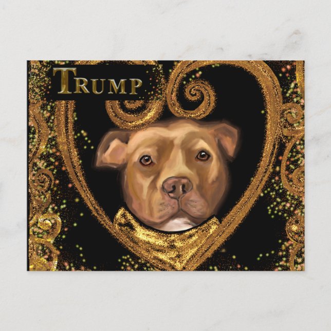 CARTE POSTALE TRUMP 2024 (Devant)