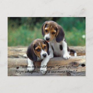 Carte Postale Try it one more time.