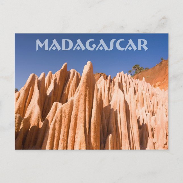 Carte Postale Tsingy rouge de Madagascar (Devant)