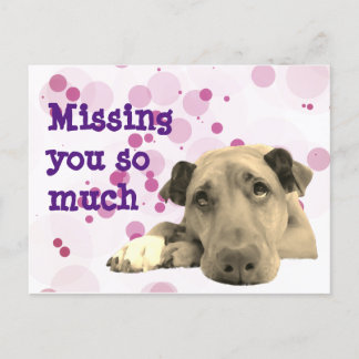 Carte Postale Tu as manqué ton triste chien