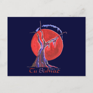 Carte Postale Tu Bishvat