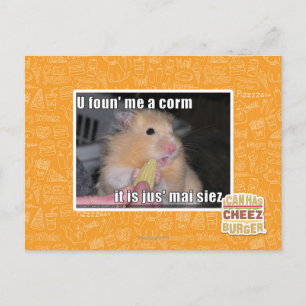 Carte Postale Tu m'as trouvé du maïs