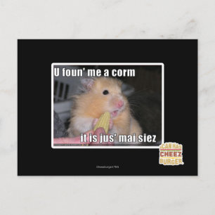 Carte Postale Tu m'as trouvé du maïs