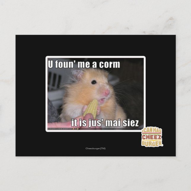 Carte Postale Tu m'as trouvé du maïs (Devant)