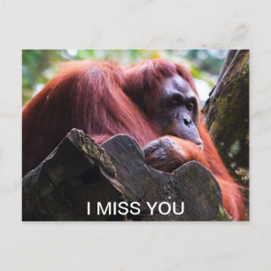 Carte Postale Tu me manques