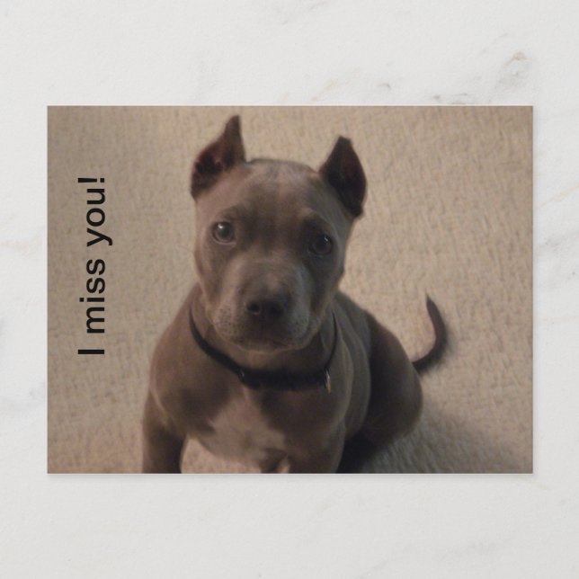 Carte Postale Tu me manques ! (Devant)