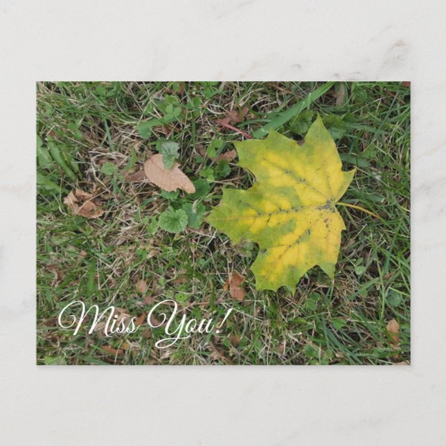 Carte Postale Tu me manques, feuille d'automne solitaire  (Devant)