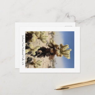 Carte Postale Tu me manques - Parc national de Joshua Tree, CA