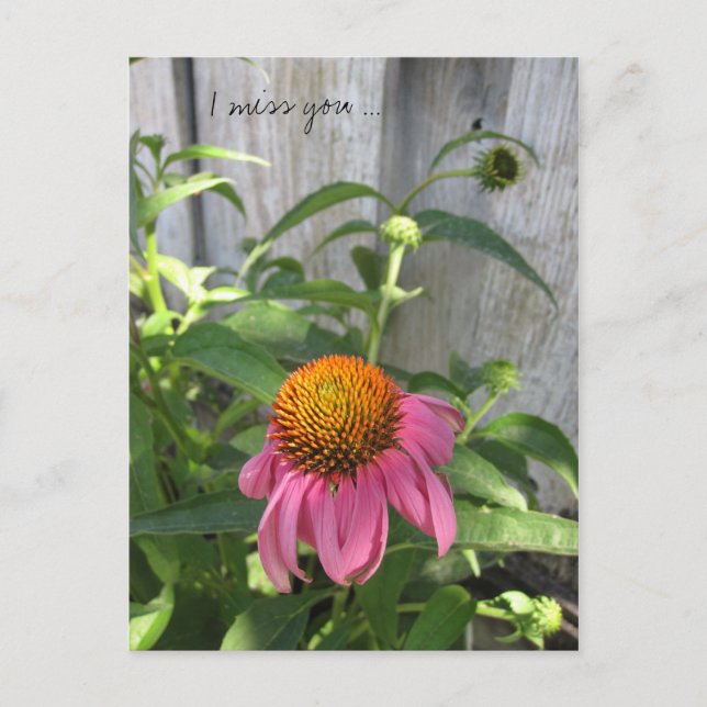 Carte Postale Tu me manques tellement (Devant)