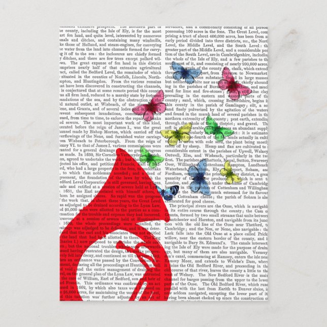 Carte Postale Tuba avec papillons (Devant)