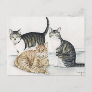Carte postale Tubby, Tiger et Tiny Original