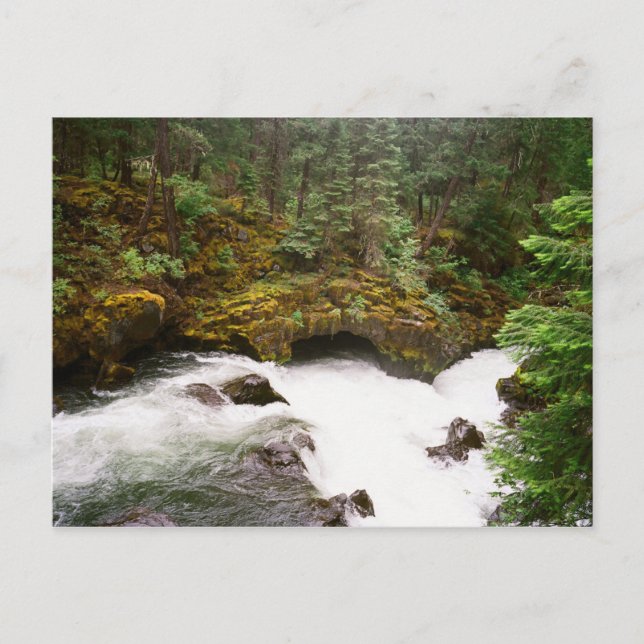 Carte Postale Tube de la rivière Rogue (Devant)