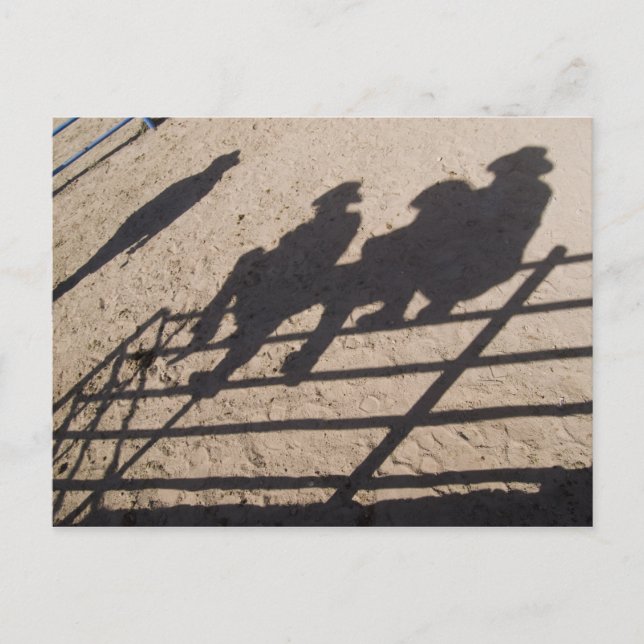 Carte Postale Tucson, Arizona : Ombres des concurrents du Rodeo (Devant)