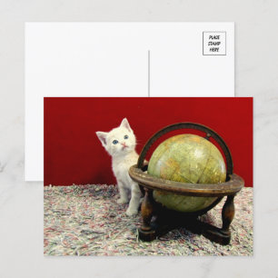 Carte Postale Tuffy McDuff autour du monde - Chat / Kitten
