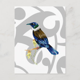 Carte Postale Tui NZ Bird