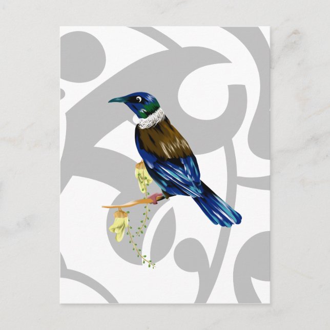 Carte Postale Tui oiseau NZ (Devant)