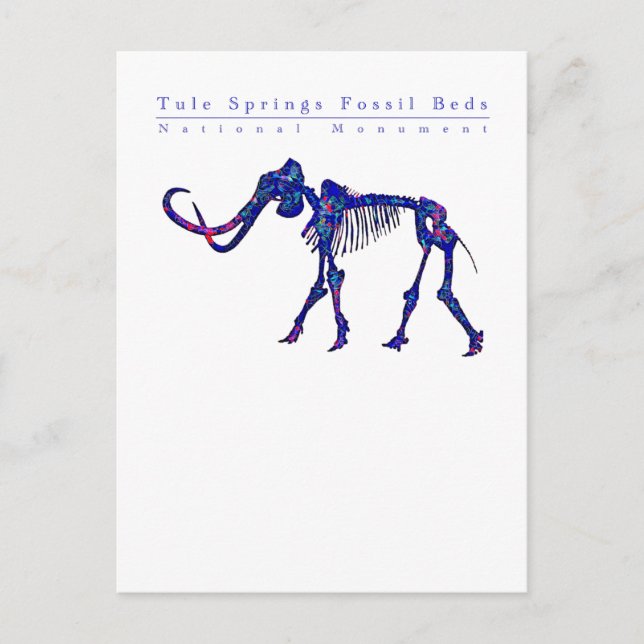 Carte Postale Tule Springs Fossil Lits : tous les bénéfices donn (Devant)