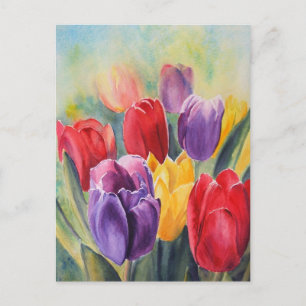 Carte Postale Tulip arc-en-ciel