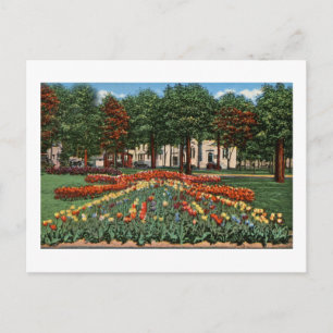Carte Postale Tulip Time Holland, Michigan
