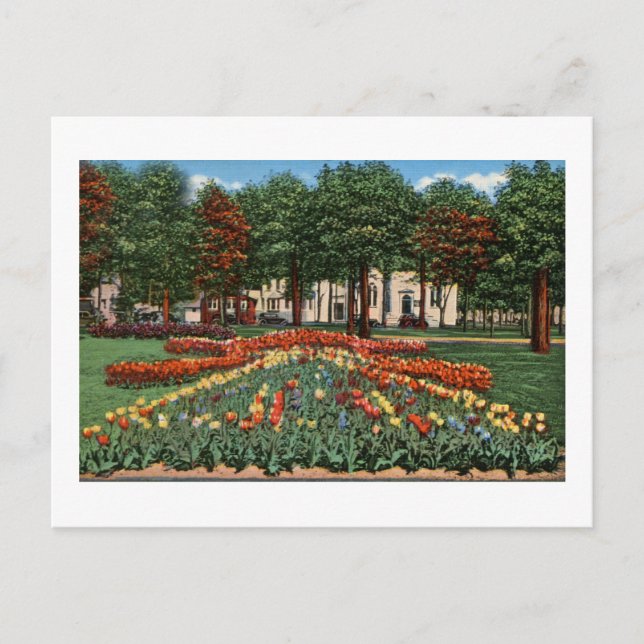 Carte Postale Tulip Time Holland, Michigan (Devant)