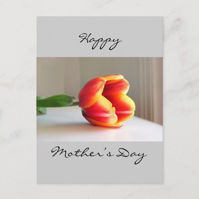 Carte Postale Tulipe orange (Devant)