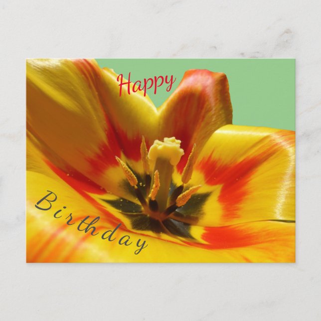 Carte postale Tulipe Orange Jaune Joyeux Anniversa (Devant)