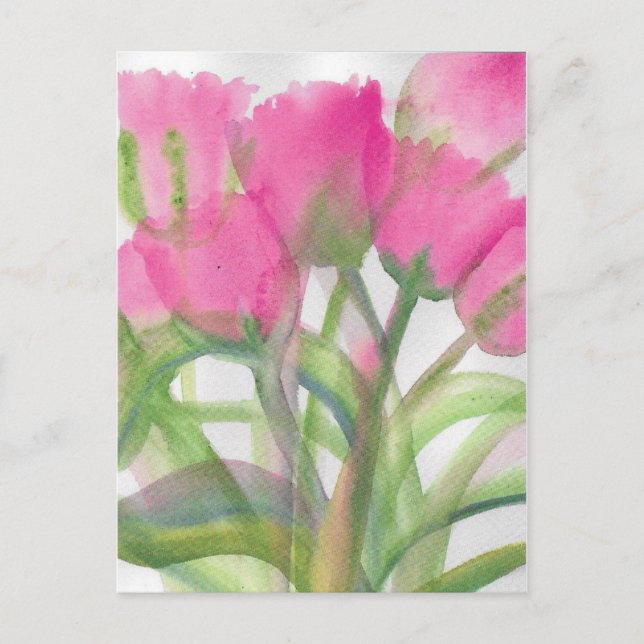 Carte postale Tulipe rose (Devant)