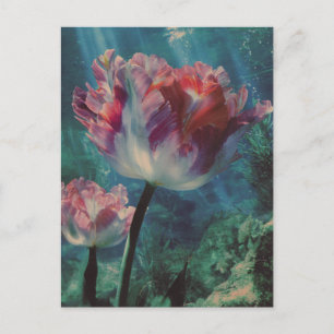 Carte Postale Tulipe sous-marine