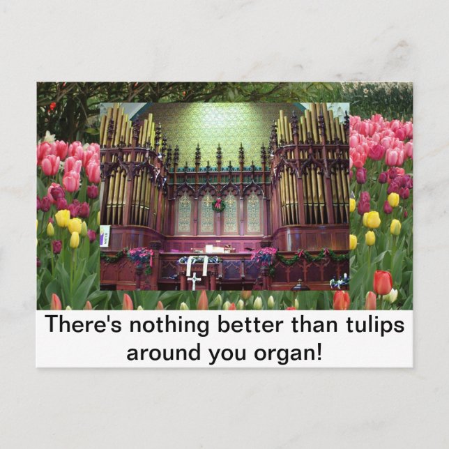 Carte Postale Tulipes (Devant)