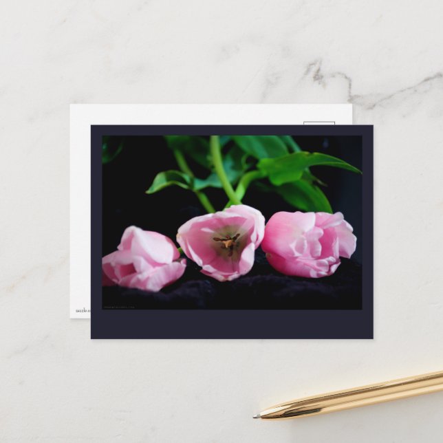 Carte Postale Tulipes 3273 (Devant/Arrière en situation)