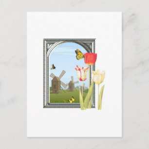 Carte Postale Tulipes d'Amsterdam