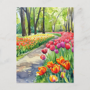 Carte Postale Tulipes dans le parc