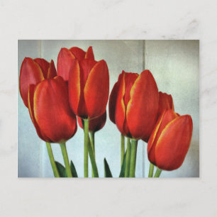 Carte Postale Tulipes de printemps